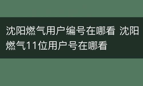沈阳燃气用户编号在哪看 沈阳燃气11位用户号在哪看