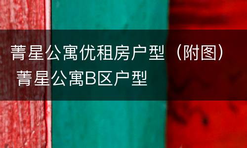 菁星公寓优租房户型（附图） 菁星公寓B区户型