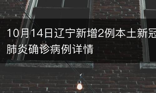 10月14日辽宁新增2例本土新冠肺炎确诊病例详情