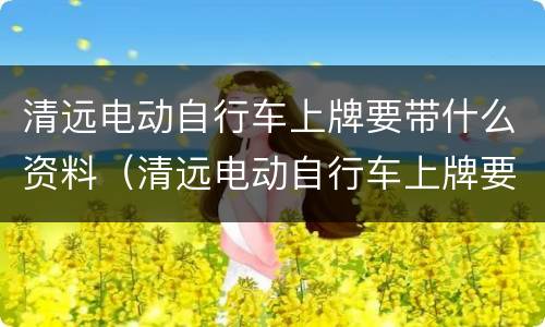 清远电动自行车上牌要带什么资料（清远电动自行车上牌要带什么资料和手续）