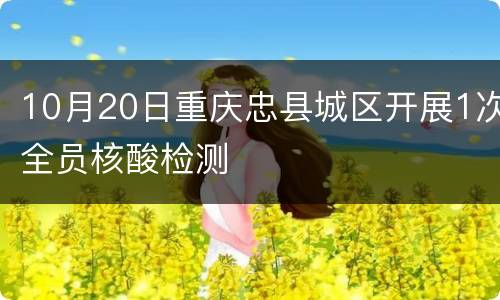10月20日重庆忠县城区开展1次全员核酸检测