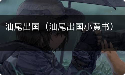 汕尾出国（汕尾出国小黄书）