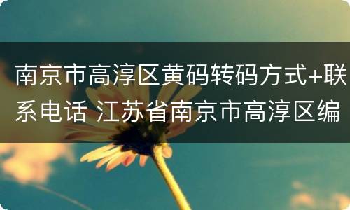 南京市高淳区黄码转码方式+联系电话 江苏省南京市高淳区编码