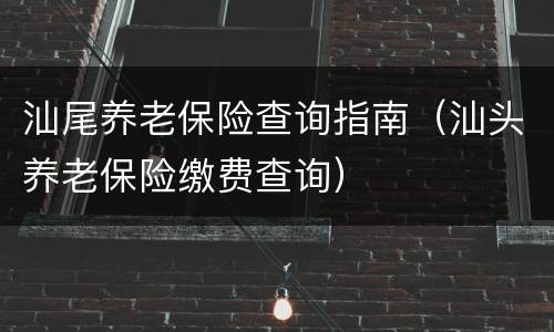 汕尾养老保险查询指南（汕头养老保险缴费查询）