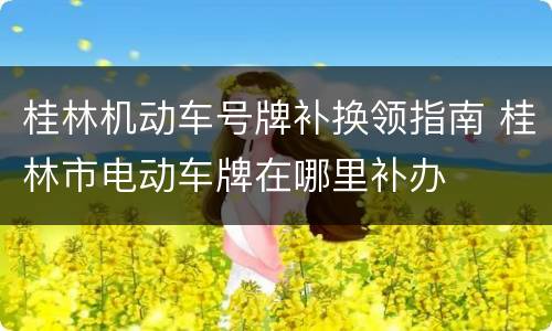 桂林机动车号牌补换领指南 桂林市电动车牌在哪里补办