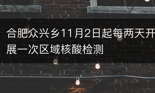 合肥众兴乡11月2日起每两天开展一次区域核酸检测