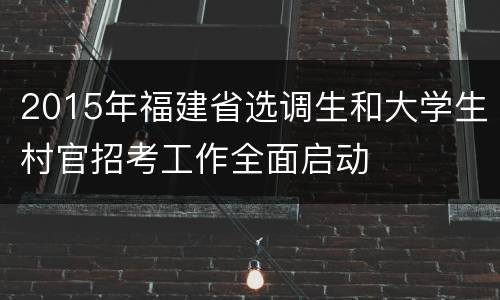 2015年福建省选调生和大学生村官招考工作全面启动