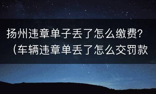 扬州违章单子丢了怎么缴费？（车辆违章单丢了怎么交罚款）