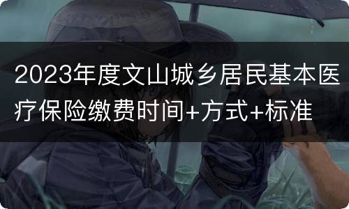 2023年度文山城乡居民基本医疗保险缴费时间+方式+标准