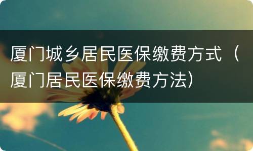 厦门城乡居民医保缴费方式（厦门居民医保缴费方法）