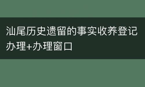 汕尾历史遗留的事实收养登记办理+办理窗口