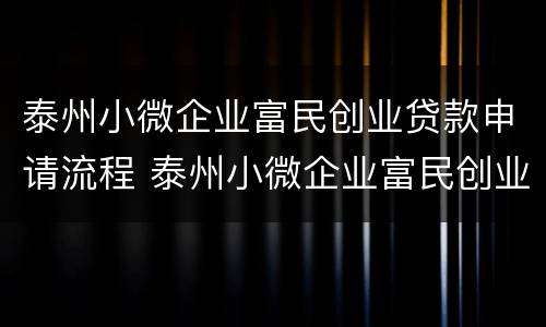 泰州小微企业富民创业贷款申请流程 泰州小微企业富民创业贷款申请流程视频