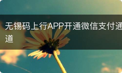 无锡码上行APP开通微信支付通道