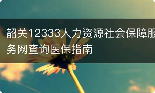 韶关12333人力资源社会保障服务网查询医保指南