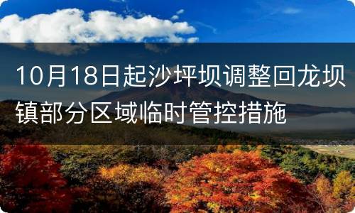 10月18日起沙坪坝调整回龙坝镇部分区域临时管控措施