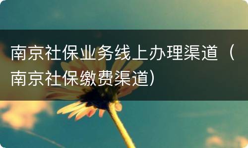 南京社保业务线上办理渠道（南京社保缴费渠道）