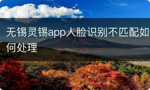 无锡灵锡app人脸识别不匹配如何处理