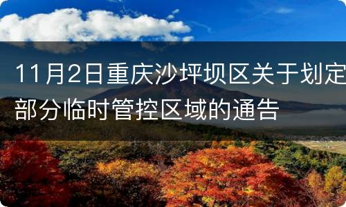 11月2日重庆沙坪坝区关于划定部分临时管控区域的通告