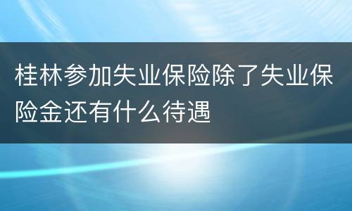 桂林参加失业保险除了失业保险金还有什么待遇