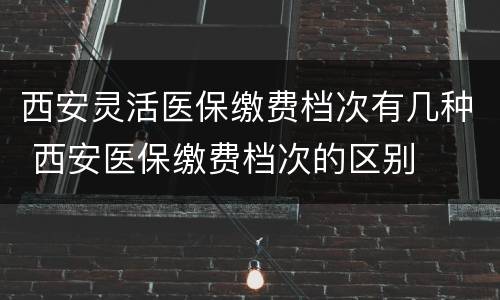 西安灵活医保缴费档次有几种 西安医保缴费档次的区别