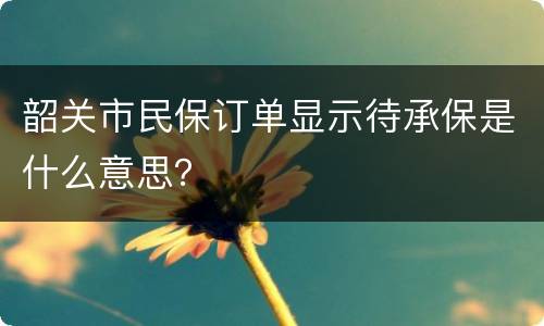 韶关市民保订单显示待承保是什么意思？