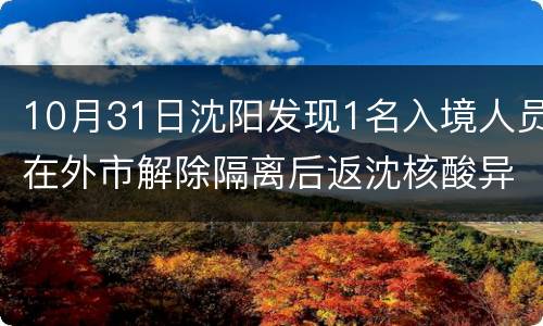 10月31日沈阳发现1名入境人员在外市解除隔离后返沈核酸异常