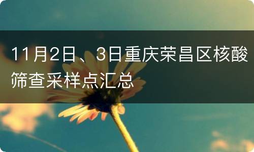 11月2日、3日重庆荣昌区核酸筛查采样点汇总