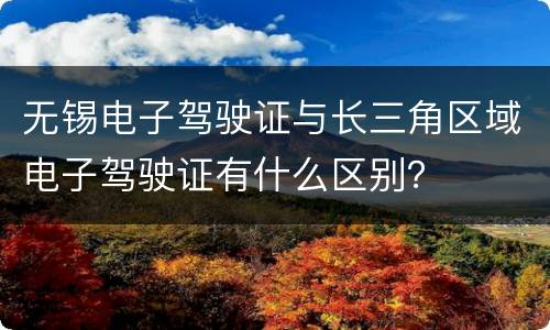 无锡电子驾驶证与长三角区域电子驾驶证有什么区别？