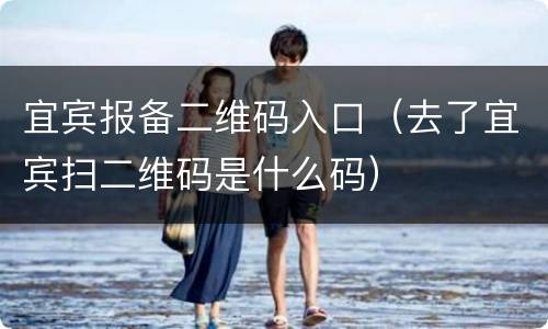 宜宾报备二维码入口（去了宜宾扫二维码是什么码）