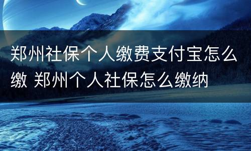 郑州社保个人缴费支付宝怎么缴 郑州个人社保怎么缴纳