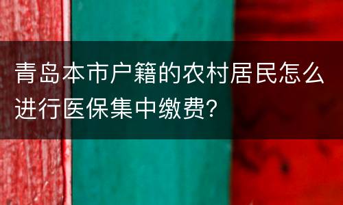 青岛本市户籍的农村居民怎么进行医保集中缴费？