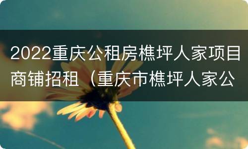 2022重庆公租房樵坪人家项目商铺招租（重庆市樵坪人家公租房）