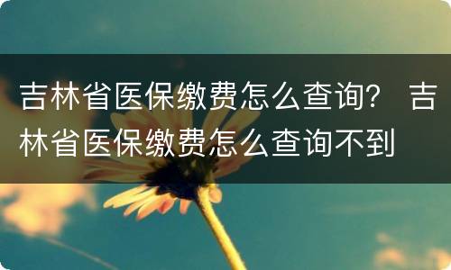 吉林省医保缴费怎么查询？ 吉林省医保缴费怎么查询不到