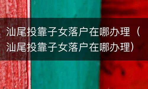 汕尾投靠子女落户在哪办理（汕尾投靠子女落户在哪办理）