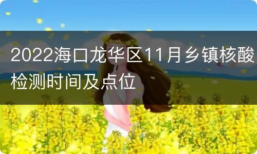 2022海口龙华区11月乡镇核酸检测时间及点位