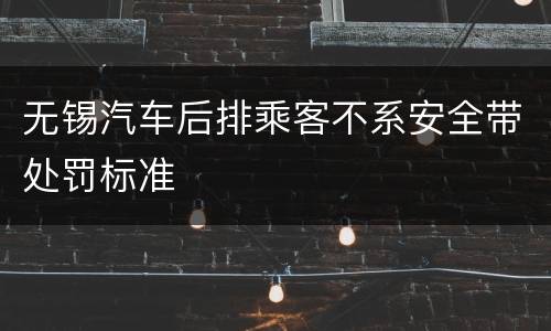 无锡汽车后排乘客不系安全带处罚标准