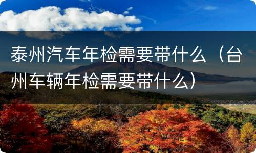 泰州汽车年检需要带什么（台州车辆年检需要带什么）