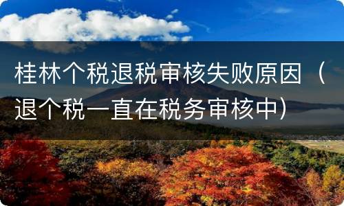 桂林个税退税审核失败原因（退个税一直在税务审核中）