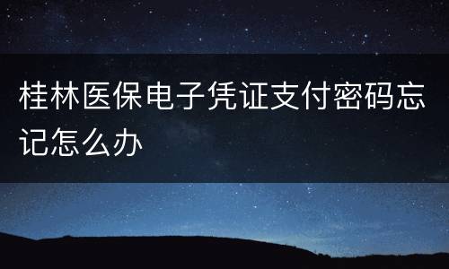 桂林医保电子凭证支付密码忘记怎么办