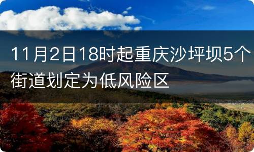 11月2日18时起重庆沙坪坝5个街道划定为低风险区