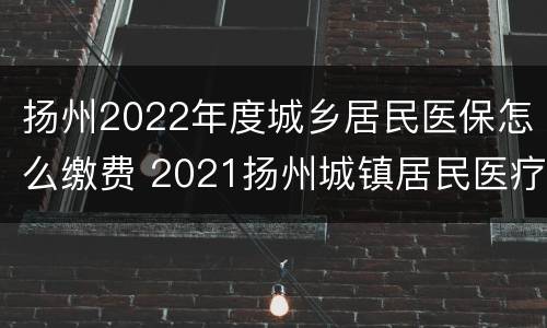扬州2022年度城乡居民医保怎么缴费 2021扬州城镇居民医疗保险缴费
