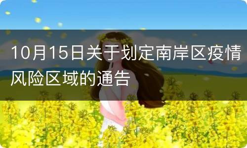 10月15日关于划定南岸区疫情风险区域的通告