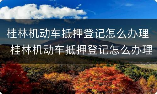 桂林机动车抵押登记怎么办理 桂林机动车抵押登记怎么办理的