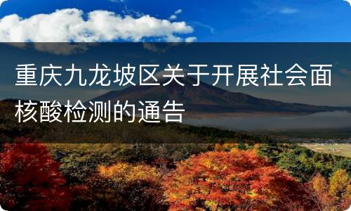 重庆九龙坡区关于开展社会面核酸检测的通告