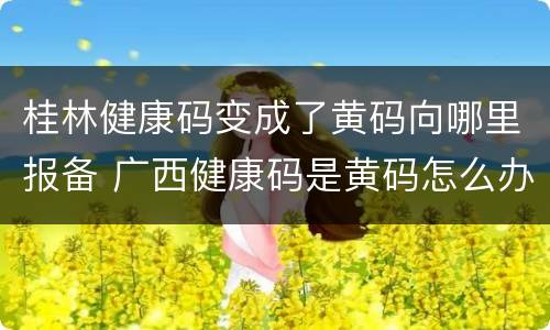 桂林健康码变成了黄码向哪里报备 广西健康码是黄码怎么办