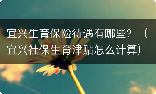 宜兴生育保险待遇有哪些？（宜兴社保生育津贴怎么计算）