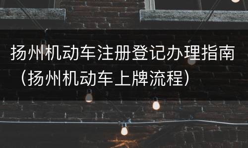 扬州机动车注册登记办理指南（扬州机动车上牌流程）
