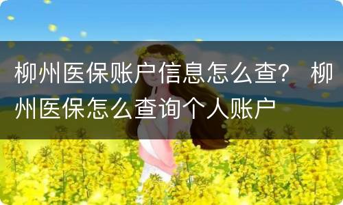 柳州医保账户信息怎么查？ 柳州医保怎么查询个人账户