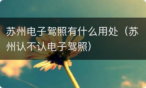 苏州电子驾照有什么用处（苏州认不认电子驾照）