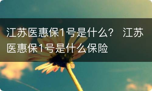 江苏医惠保1号是什么？ 江苏医惠保1号是什么保险